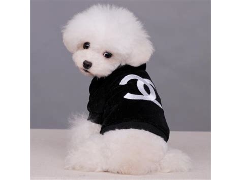 coco chanel clothes for dogs|Coco Chanel dog outfits.